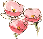 Watercolor of 3 pink flowers also called cosmos, extract from an Ernest & Célestine book